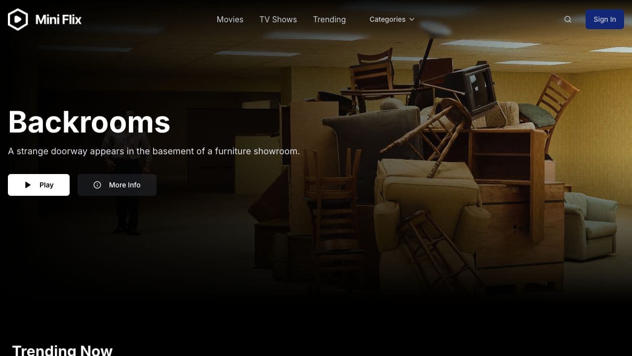 Mini Flix live practice application interface